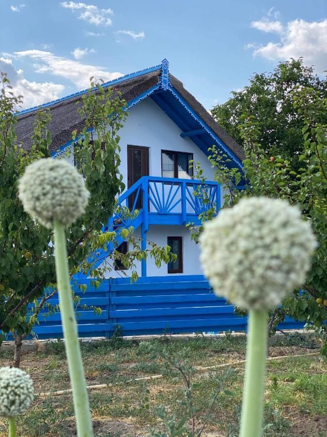 Гостевой дом Casa Enisala Экстерьер фото